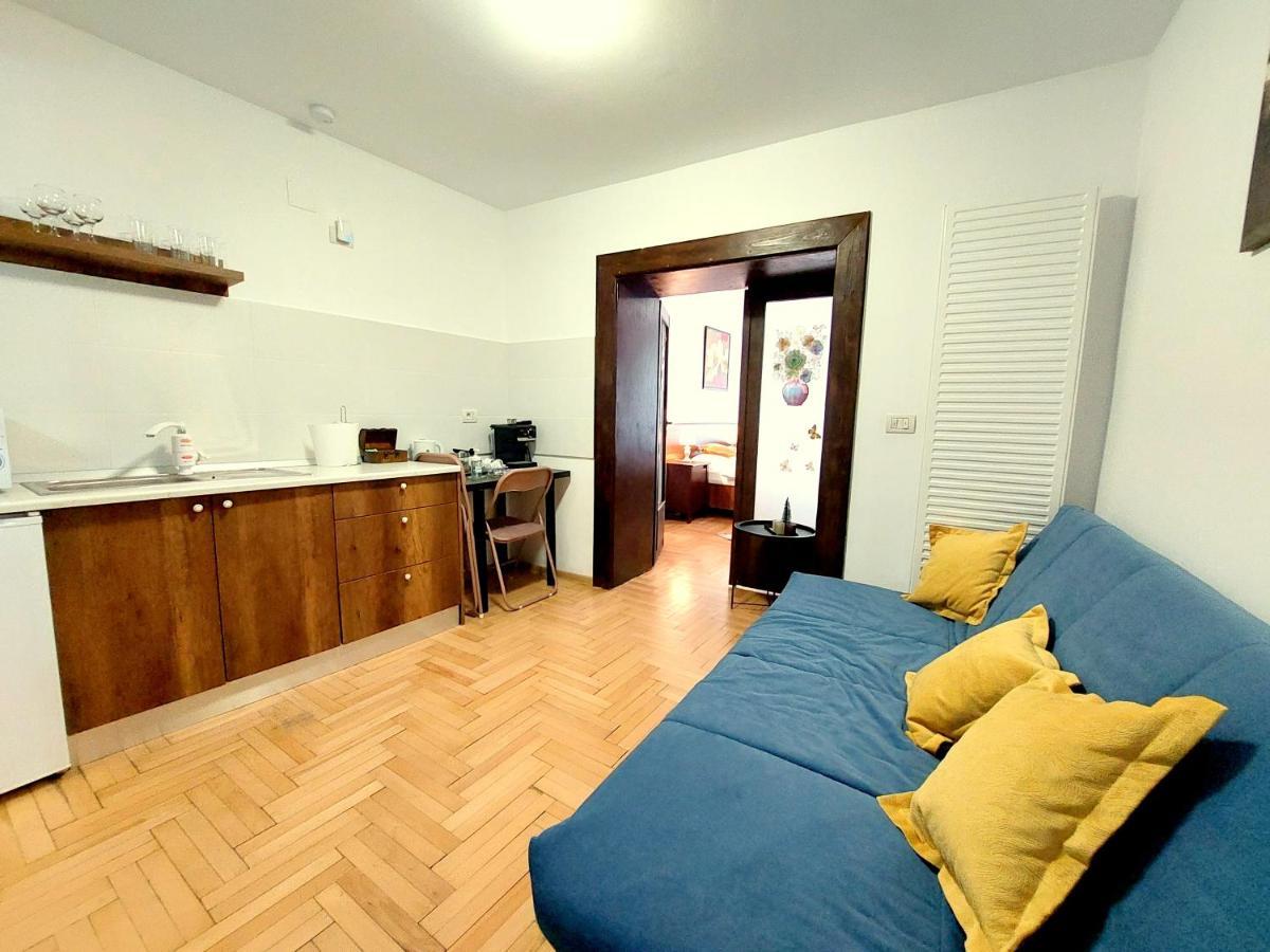 布拉索夫Casa Roth公寓 外观 照片