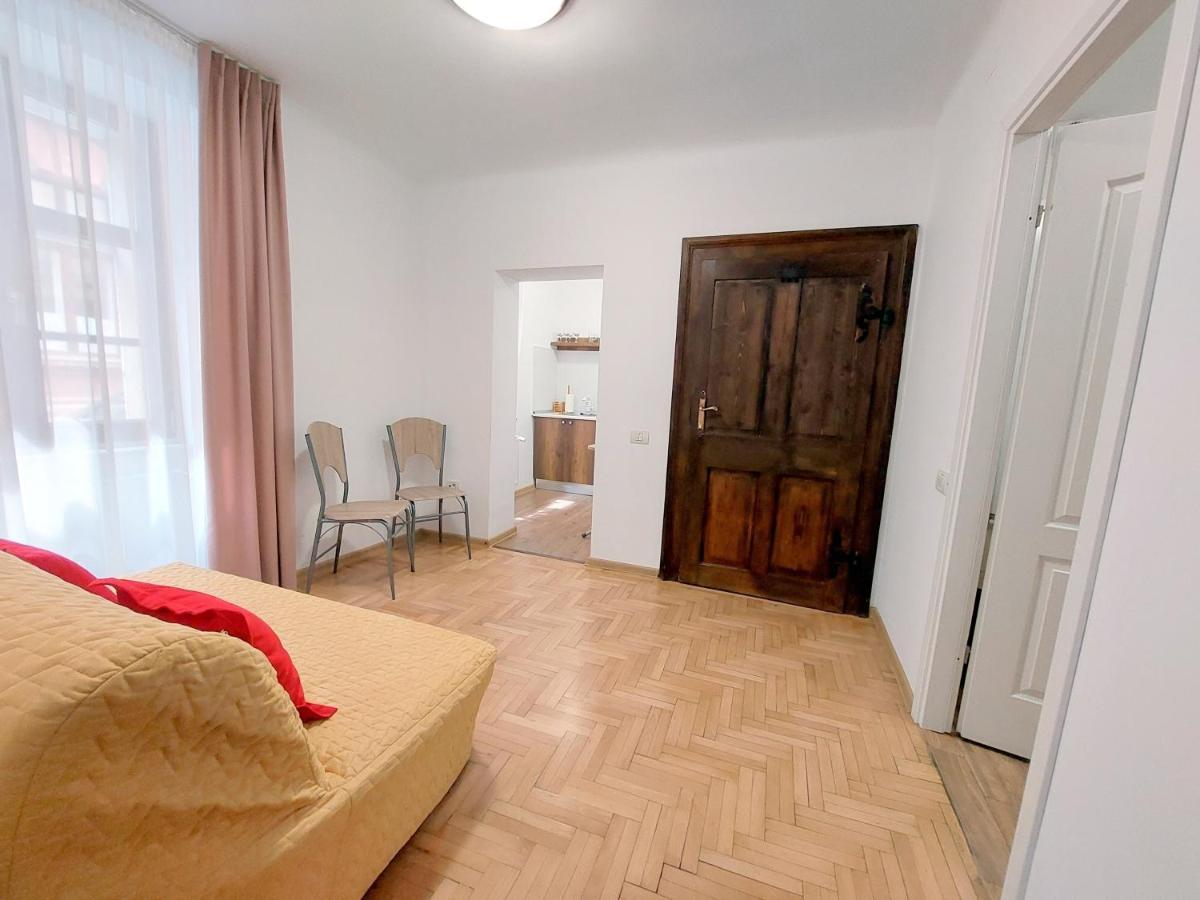 布拉索夫Casa Roth公寓 外观 照片