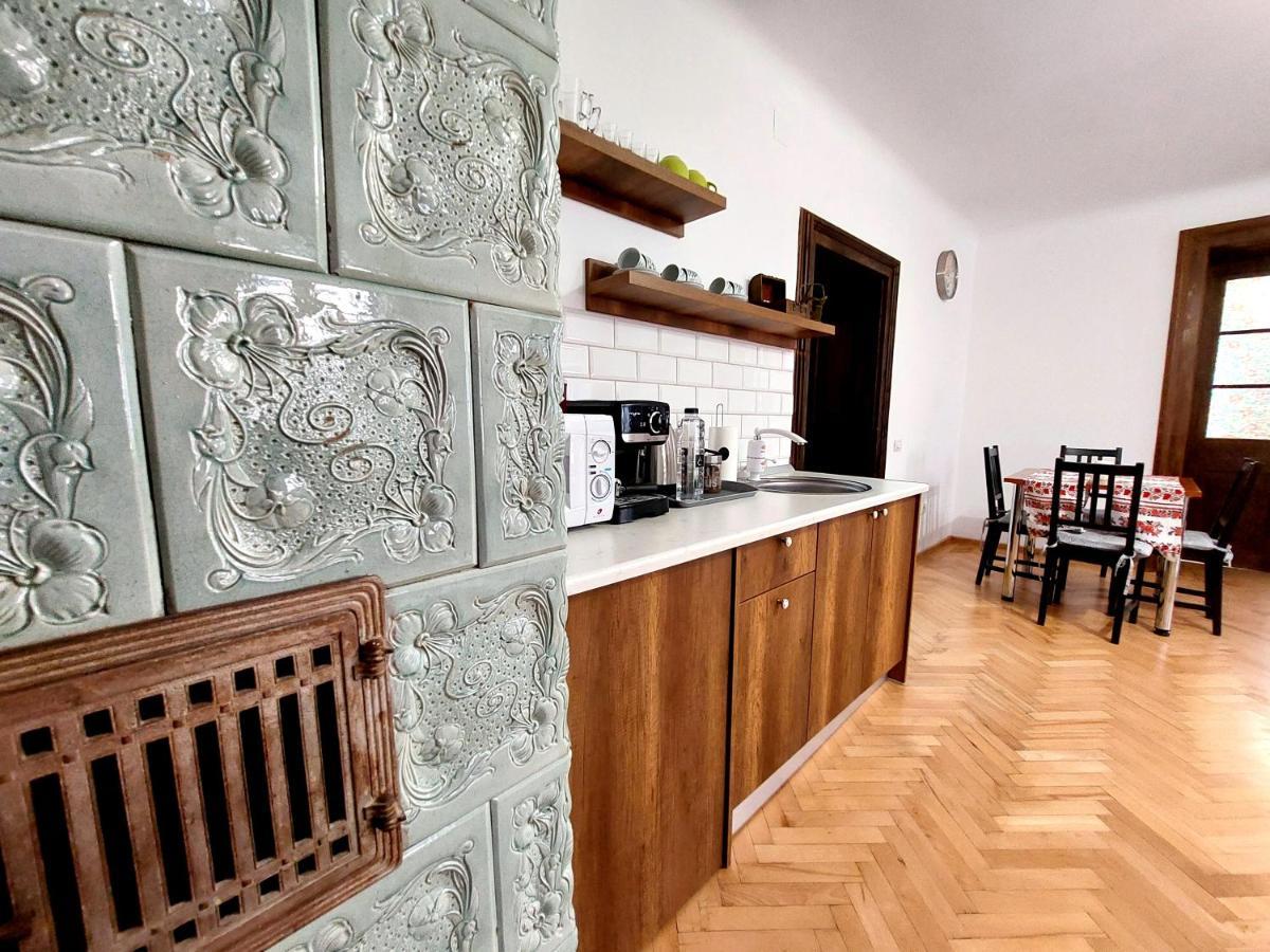 布拉索夫Casa Roth公寓 外观 照片