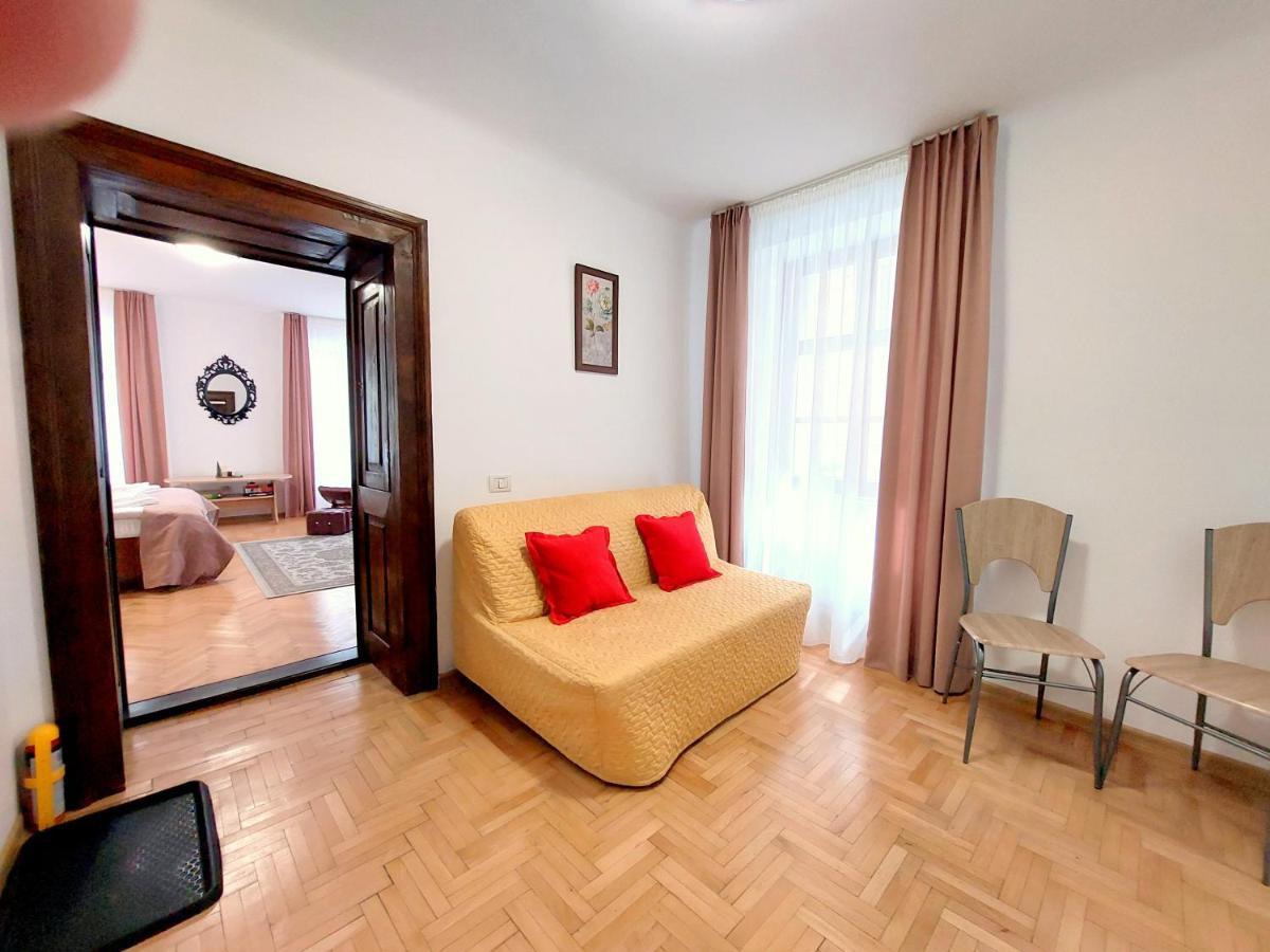 布拉索夫Casa Roth公寓 外观 照片