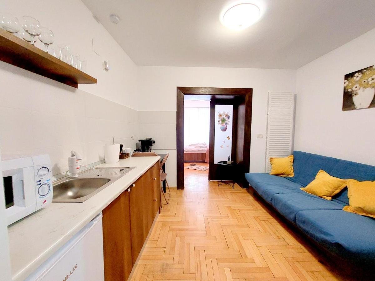 布拉索夫Casa Roth公寓 外观 照片