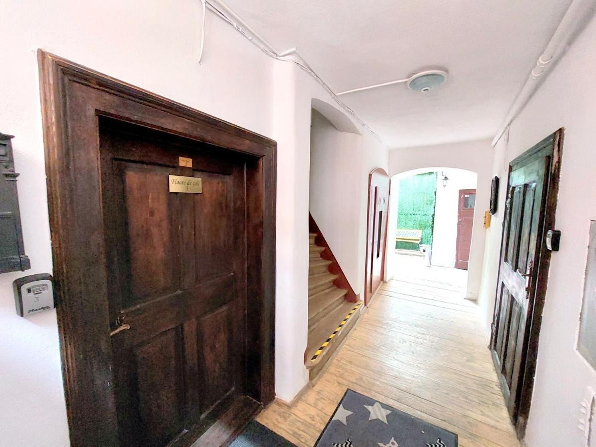 布拉索夫Casa Roth公寓 外观 照片