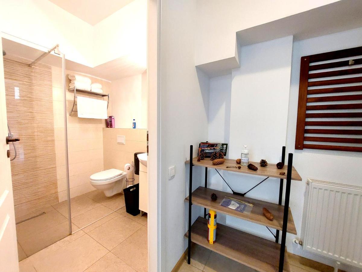 布拉索夫Casa Roth公寓 外观 照片